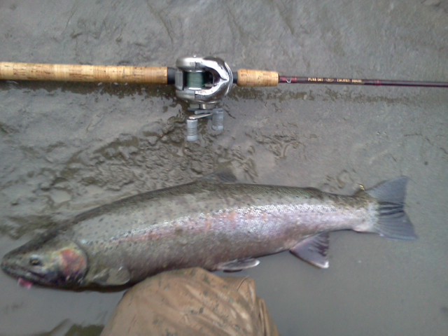 fishy fish.jpg