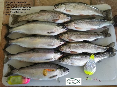 branded Summit 5-30.jpg