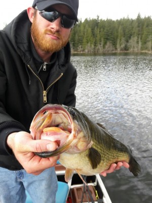 20170420_132120-768x1024.jpg (182.51 KiB) Viewed 25880 times 20170420_132120-768x1024.jpg