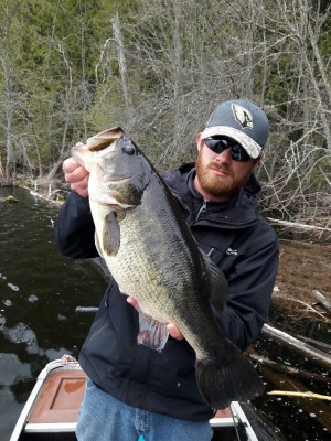 20170425_130106-768x1024.jpg (312.99 KiB) Viewed 25785 times 20170425_130106-768x1024.jpg