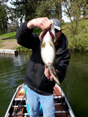 20170428_140253-768x1024.jpg (240.98 KiB) Viewed 25732 times 20170428_140253-768x1024.jpg