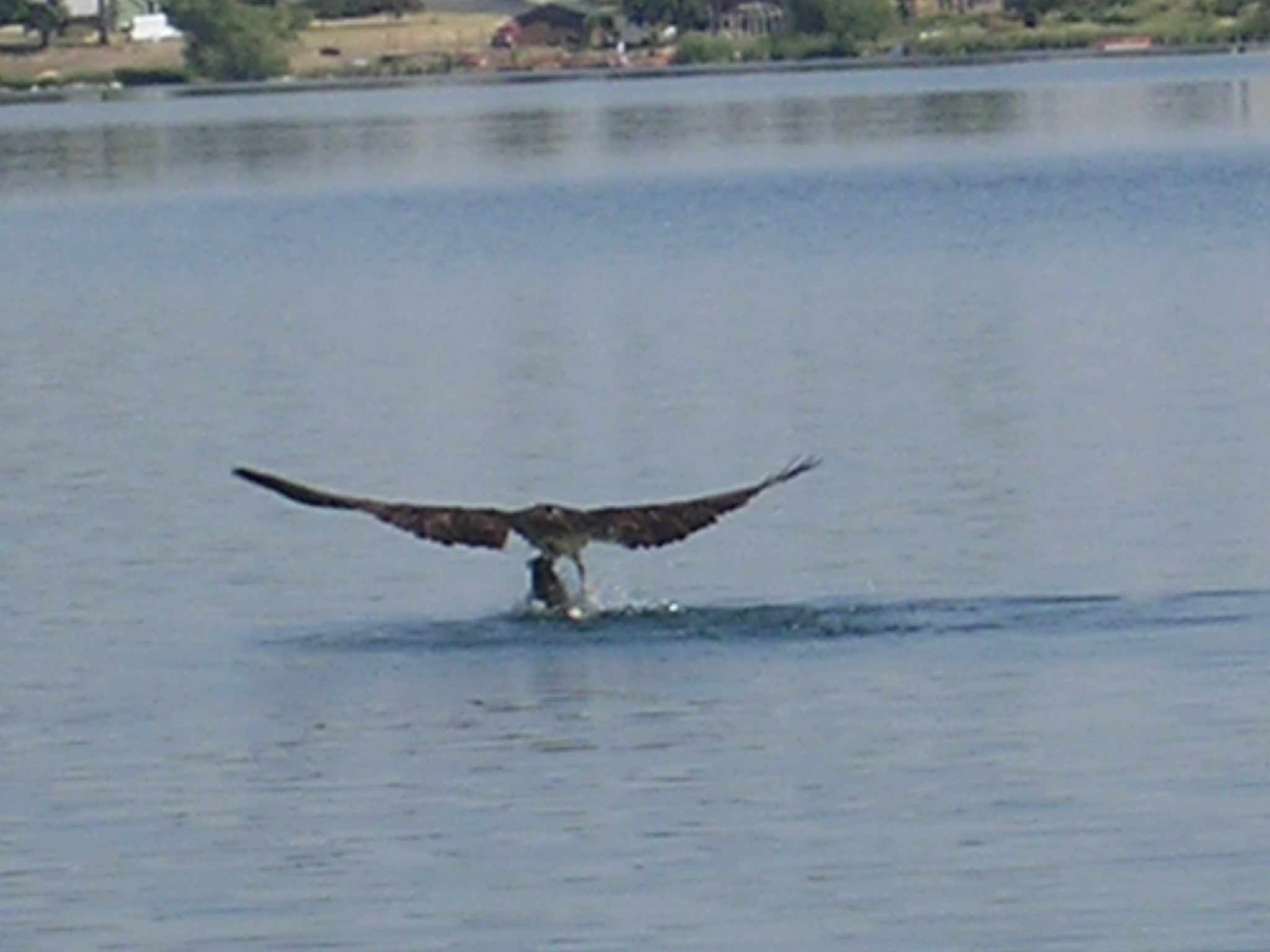 DSCN0686.JPG