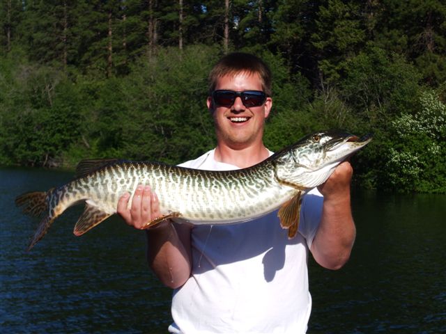 Copy_of_Buddys_Curlew_Muskie_003.jpg