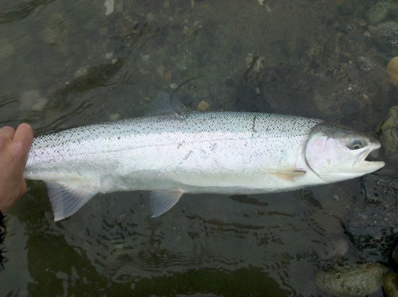 IMG_20110402_110230.jpg