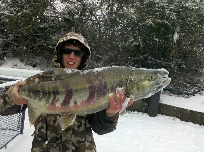 IMG_20101125_101436.jpg