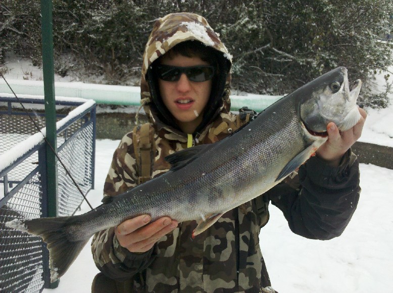 IMG_20101125_110743.jpg