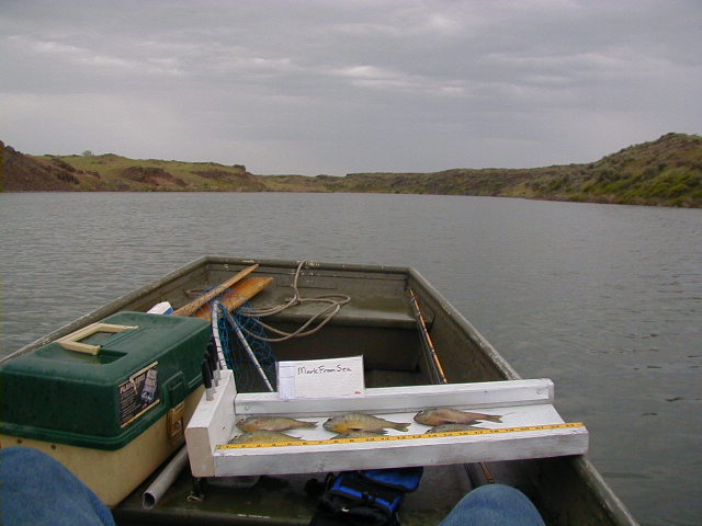 Stan_Coffin_boat-lake_view.JPG