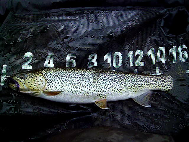 1-11-2012_001.jpg
