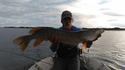 40in 2 pike 8-21-19.jpg